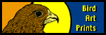 Bird art prints