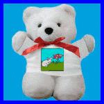 Gifts: Teddy bear with shy bunny.
