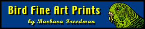 Bird art prints and animal art prints from Baby Bird Productions.